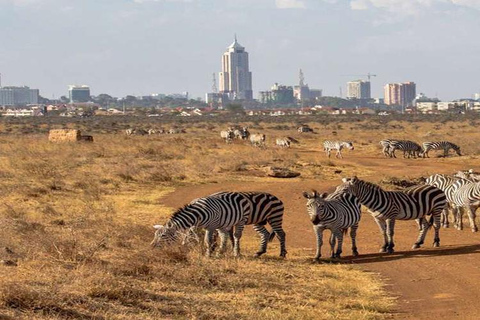 Demi-journée au parc national de Nairobi