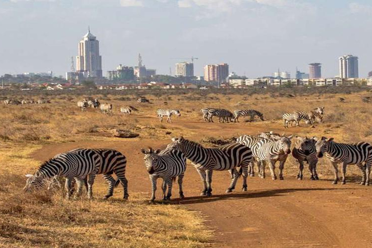 Demi-journée au parc national de Nairobi