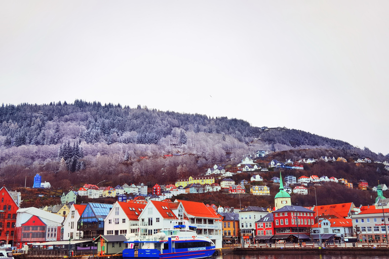 Flåm Flexible Tour with Stegastein, cruise and train include
