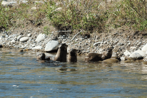 Jackson Hole: comoda gita in gommone sul fiume SnakeJackson Hole: rilassante gita sul fiume Snake con sedie a sdraio