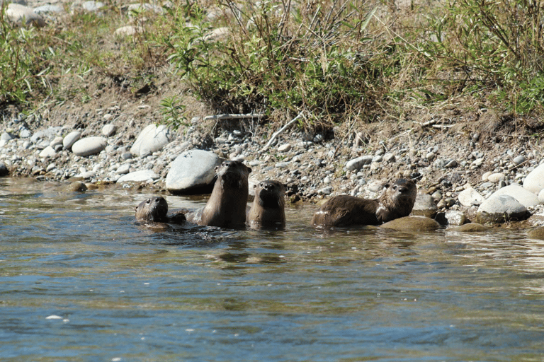 Jackson Hole: comoda gita in gommone sul fiume SnakeJackson Hole: rilassante gita sul fiume Snake con sedie a sdraio