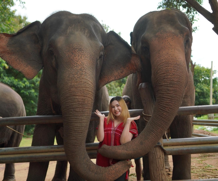 Verkenning van de olifantenhabitat en verfrissende lokale bamboeraften