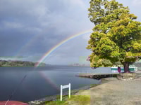 KILLARNEY, GAP OF DUNLOE DAY TOUR - Housity