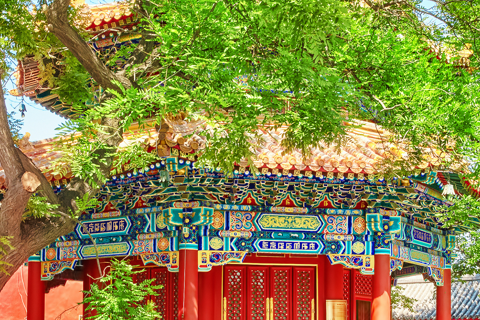 Pékin : Temple Lamar （Les meilleurs temples locaux） Billets d&#039;entrée