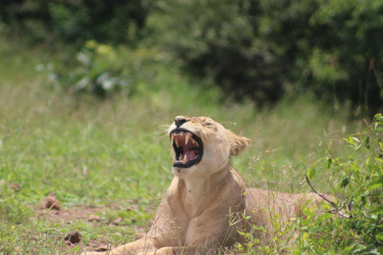 Chobe Extended Day Trip