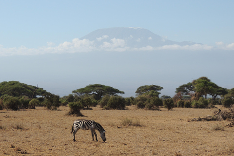 TSAVO EAST: 1 DAY TRIP FROM MOMBASA