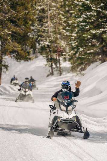 Moran: Turpin Meadows Ranch Snowmobile Tour