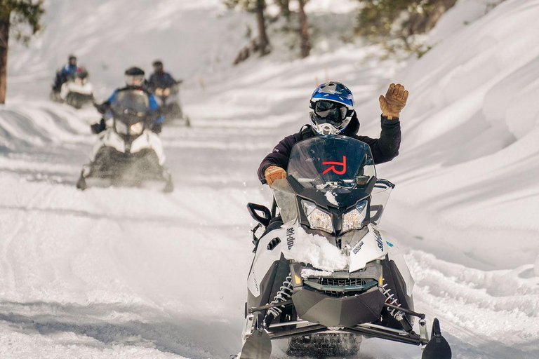 Jackson Hole: Turpin Meadow Ranch Snowmobile Tour Half-Day Morning Tour- Driver Only