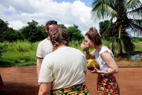 Sigiriya & Dambulla Rock Climb with Village Tuk Tuk Safari