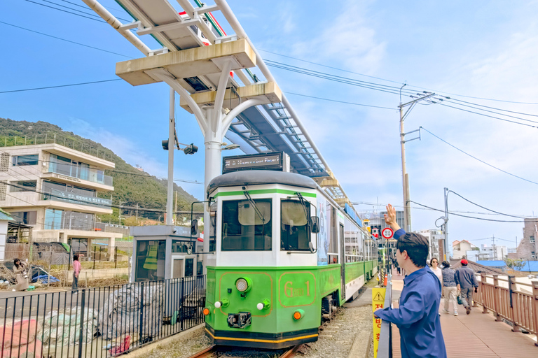 The Essential Busan: Coast, Forest, Culture & Local Markets Real Busan (Ahopsan) Tour, Meet at Haeundae Station