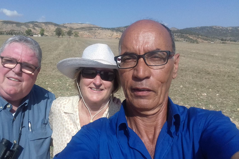 Medina Tunis walking tour