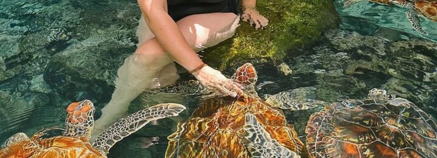 Salaam Cave : nage et nourrissage des tortues marines à Kizimkazi