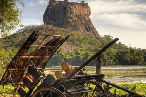 Sigiriya Rock, Dambulla Cave & Cart Rides One Day Trip Luxury Tour from Colombo, Negombo or Mount Lavinia