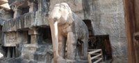 Tour privato del giorno di Ajanta & Ellora Grotte con tutta l'inclusione - Hizvo