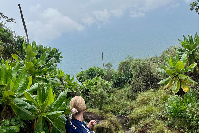 From Kigali: Bisoke Summit Trek, Crater Lake 1 Day Safari