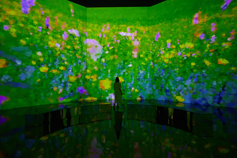 Paju: Museum HEI Immersive Media Art Exhibition Entry Ticket