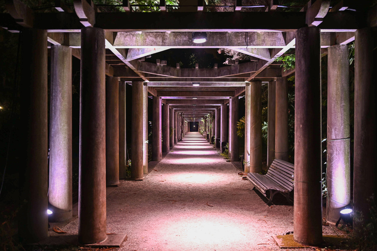 Porto: Serralves Em Luz Immersive Light Show Entry Ticket