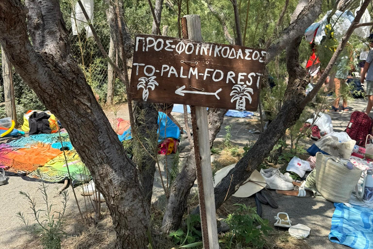 Rethymno: Private tour to Preveli Beach & Spili Village