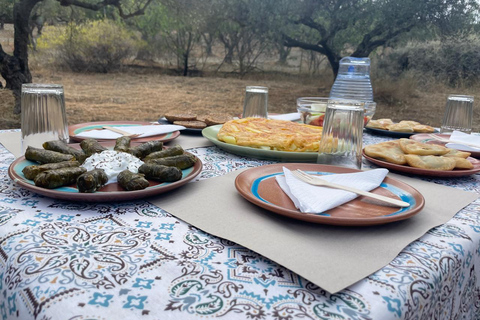 Heraklion: Cretan Farmers Brunch and Olive Grove Tour