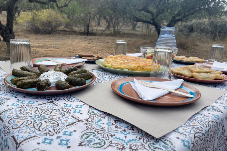 Heraklion: Brunch com agricultores de Creta e passeio pelos olivais