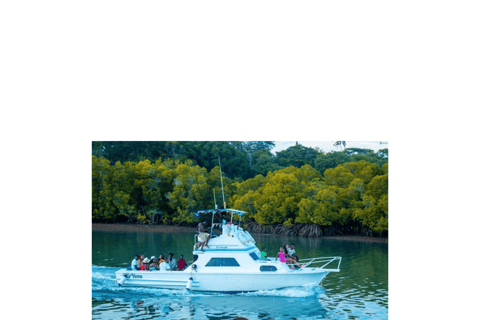 Mombasa: Yacht rides experience