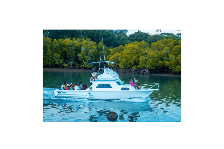 Mombasa: Yacht rides experience