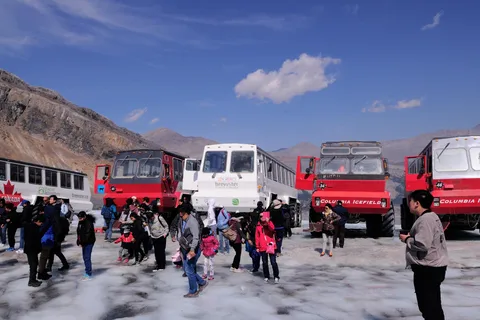 Calgary/Canmore/Banff: Columbia Icefield Glacier Day Tour