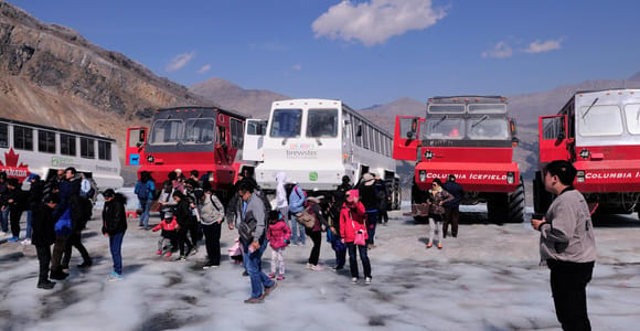 Calgary/Canmore/Banff: Columbia Icefield Glacier Day Tour
