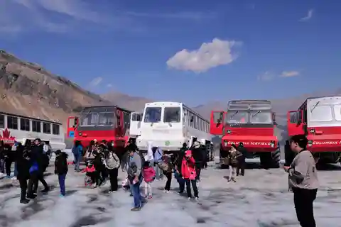 Calgary/Canmore/Banff: Columbia Icefield Glacier Day Tour