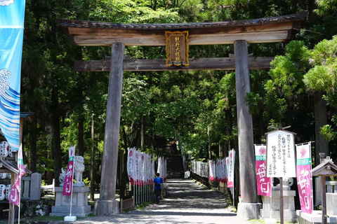 Kumano Kodo & Kumano Sanzan One-Day Tour from Osaka