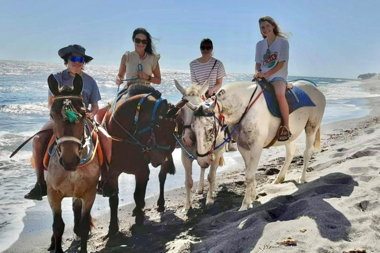 Santorini: Horse & Donkey Riding Through Volcanic Lanscapes Mule Riding Option