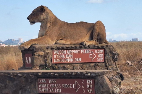 Nairobi NationalPark,Sheldrick Wildlife Trust&Giraffe Center