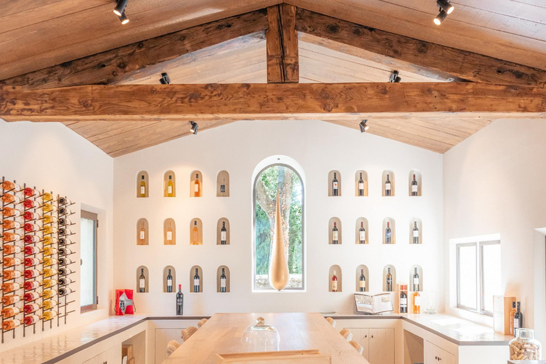 Alpilles: Discover vineyards and farms by electric bike