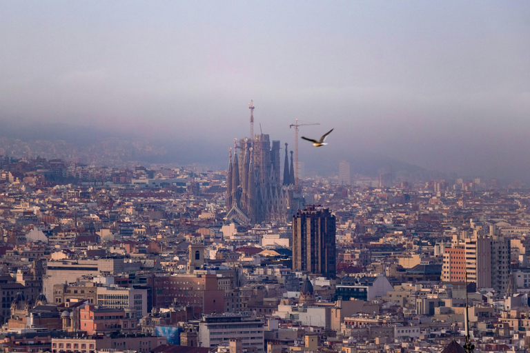 Barcelona: Sagrada Família Guided Tour with Entry Ticket