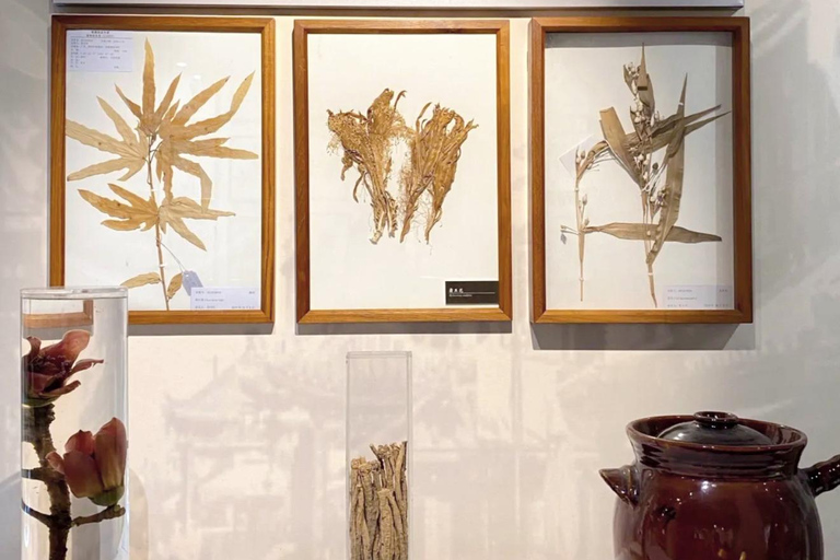 Guangzhou Food Tour: Hidden Gem Museum + Authentic Dim Sum