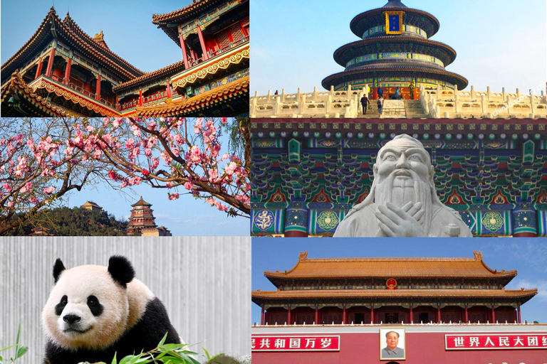 Beijing All-in-One Ticket Package: Top Attractions Included beijing zoo