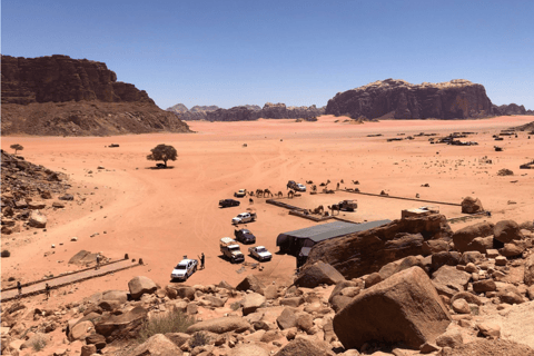 Wadi Rum: Bedouin Camp, Fire Dinner & Desert Experience
