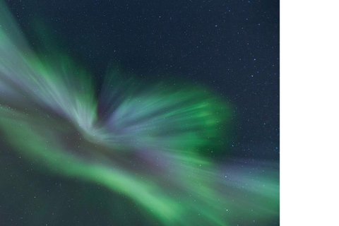 Tromsö: Nordlicht-Verfolgungsjagd im großen Bus mit kostenlosen Fotos