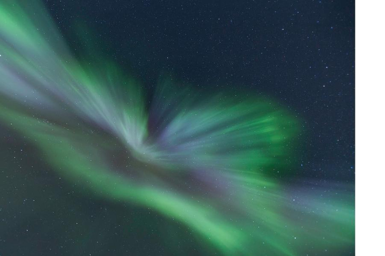 Tromso: Inseguimento dell&#039;aurora boreale in autobus con foto gratis