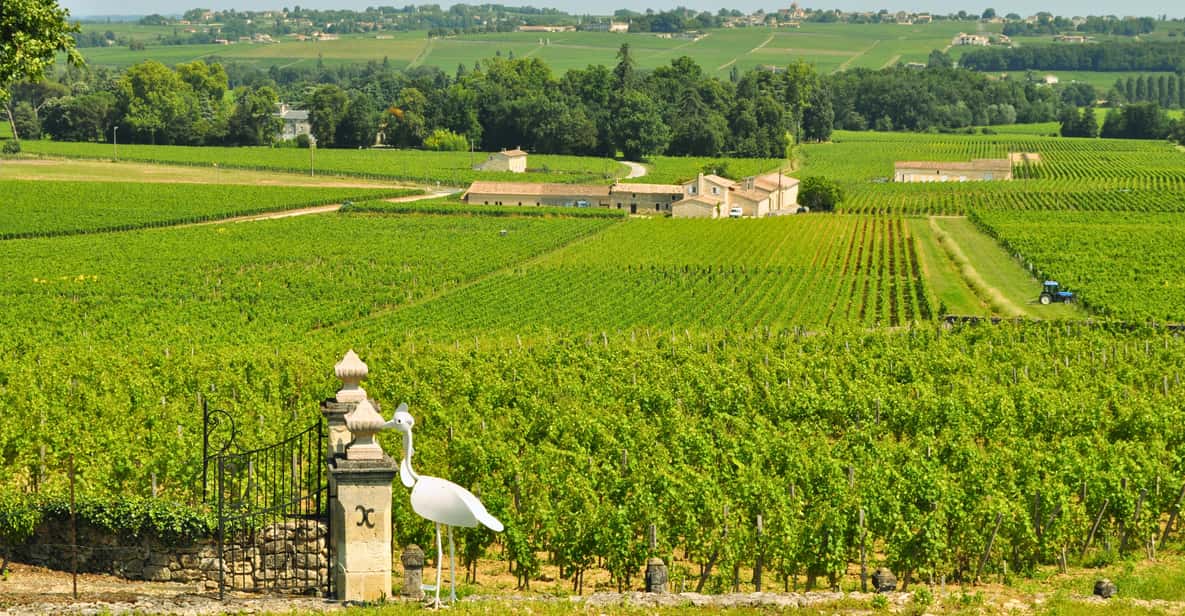 Afbeelding 5 van Exclusieve bezoeken aan Château Haut-Sarpe Grand Cru Classé Saint-Émilion