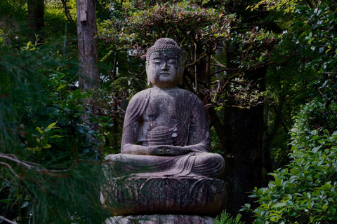 From Osaka/Kyoto: Mt. Koya & Nachi Falls Private Day Trip