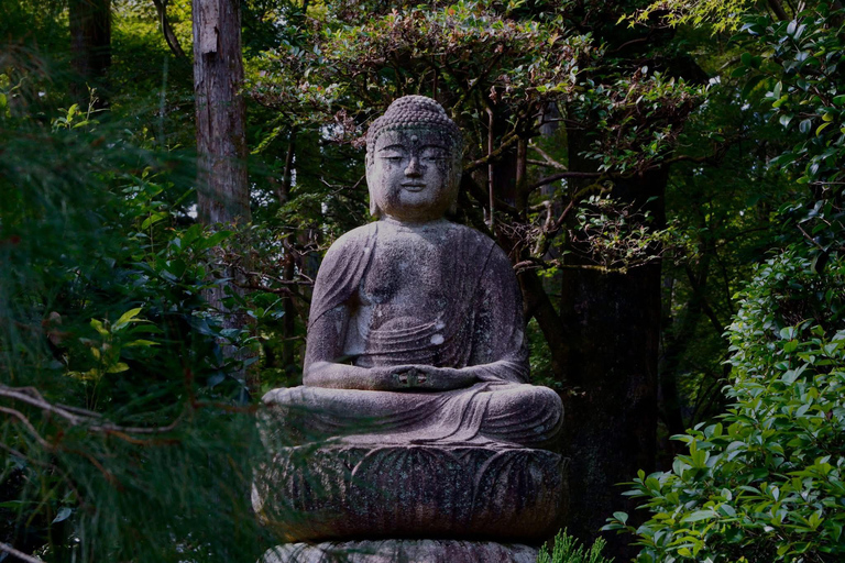 From Osaka/Kyoto: Mt. Koya & Nachi Falls Private Day Trip
