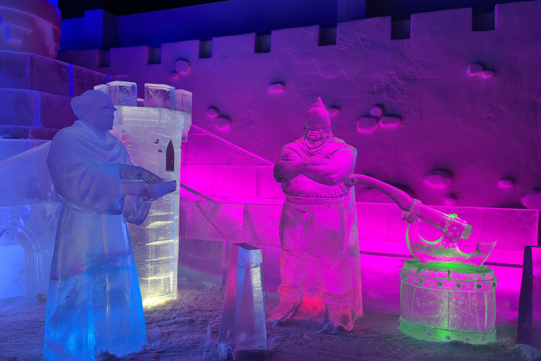 Day ticket to exhibitions in the Snow Castle area