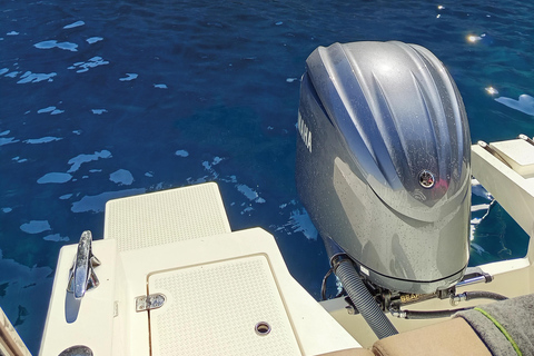 Dubrovnik: private Elaphiti Islands Boat Tour with Bar