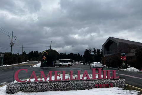 Jeju: Camellia Hill Admission & Seasonal Photo Guide