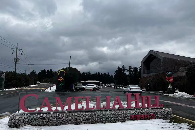 Jeju: Camellia Hill Admission & Seasonal Photo Guide
