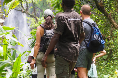 Waterfalls and Coffee tour Bike tour