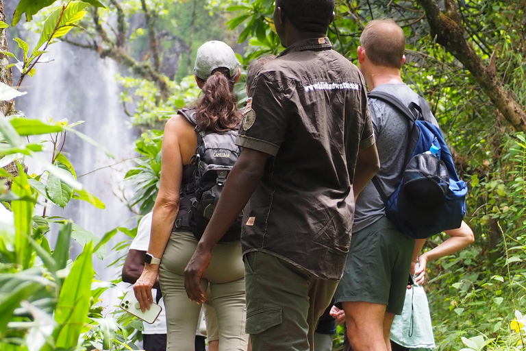 Waterfalls and Coffee tour Bike tour