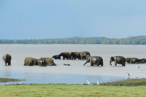 7- Days Sri Lanka Private Tour Package with 4*Hotels & Meals