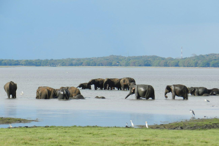 7- Days Sri Lanka Private Tour Package with 4*Hotels & Meals